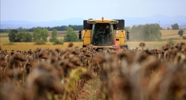 Çiftçilere 56,2 milyon liralık destekleme ödemesi bugün yapılacak