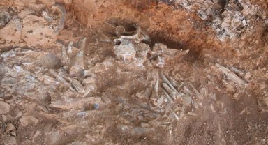 Denizli'de 9 milyon yıl öncesine ait olduğu değerlendirilen hayvan fosilleri bulundu