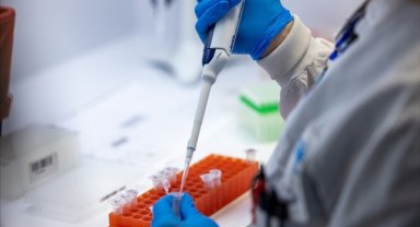 DSÖ, Kovid-19 vakalarında dünya genelinde artış yaşandığını açıkladı