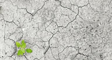 Dünya Meteoroloji Örgütü Genel Sekreteri Taalas'tan iklim değişikliğine dair uyarılar