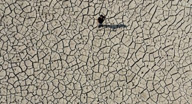 Düzce'de selin ardından oluşan "mil kuraklığı" tarım alanı ve meraları etkiledi