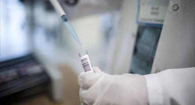 EKMUD: Sağlık Bakanlığı verilerine göre 2022 yılında 250 bin 375 kuduz riskli temas durumu olmuştur