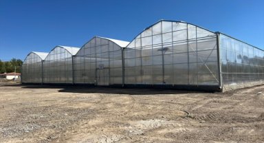 Eldivan'da örnek sera projesinde sona gelindi