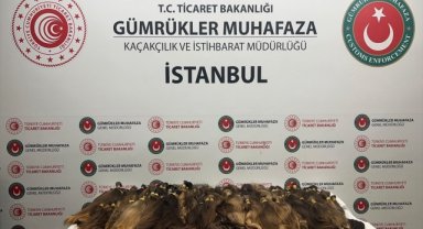 Gümrük Muhafaza ekipleri 1,3 milyon lira değerinde kaçak insan saçı ele geçirdi