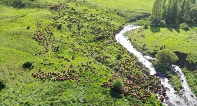 Hayvan yetiştiricileri, yöresel hayvancılığa verilecek hibe destekten memnun