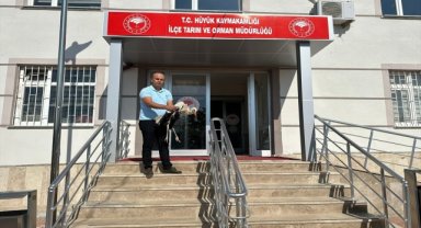 Hüyük'te yaralı halde bulunan leylek tedaviye alındı