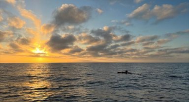 İki Türk sporcu, California'daki Catalina Kanalı'nı 13 saatte yüzerek geçti