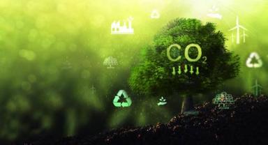 İklim değişikliğini tetikleyen etken: Karbon ayak izi