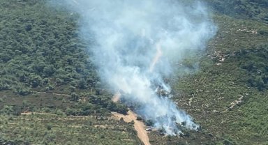 İzmir Foça'da orman yangını çıktı