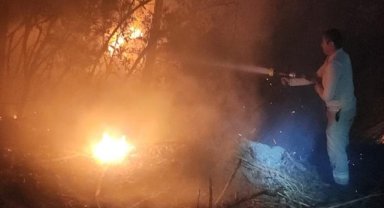  İzmir'de çıkan orman yangınına müdahale ediliyor