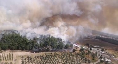 İzmir'de orman yangını çıktı