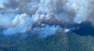 Kanada'da 800'e yakın orman yangını halen kontrol altına alınamadı