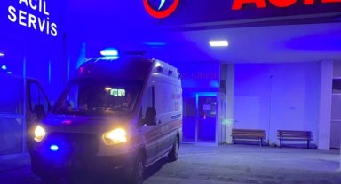 Kastamonu'da ayı saldırısına uğrayan kişi ağır yaralandı