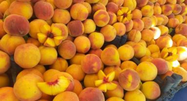 Kayseri semt pazarı fiyatları