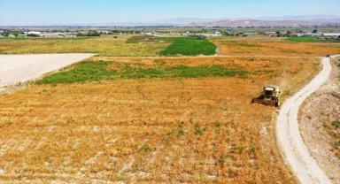 Kayseri'de 100 dönümde hasat edilecek aspirin yağı ihtiyaç sahiplerine dağıtılacak