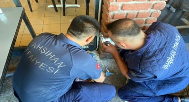 Kırıkkale'de bir iş yerinde camla kiriş arasına sıkışan yavru kedi kurtarıldı