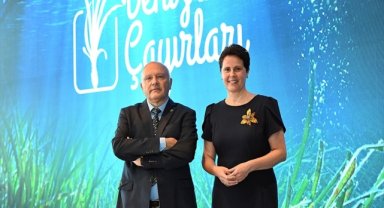 Marmara Denizi'nin oksijen deposu deniz çayırları koruma altına alınıyor