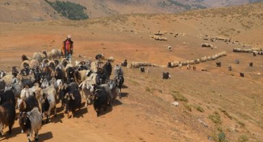 Muş'taki yaylalarda konaklayan göçerler dönüş için hazırlıklara başladı