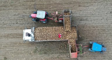 Pancar üreticilerine avans ödemeleri bugün yapılacak