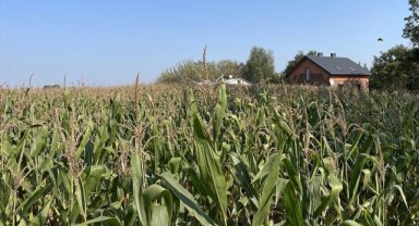 Polonyalı çiftçiler, Ukrayna tahılının ülkelerine girişine ilişkin kararı endişeyle bekliyor