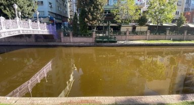  Porsuk Çayı'na ne oldu? Görenler şaştı kaldı..