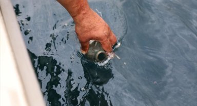 Rize Çayeli açıklarındaki petrol potansiyelinin belirlenmesi için örnekler alındı