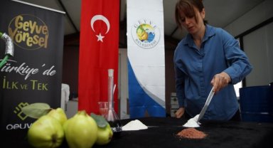 Sakarya'da atık ayvadan pektin, selüloz ve hemiselüloz üretiliyor