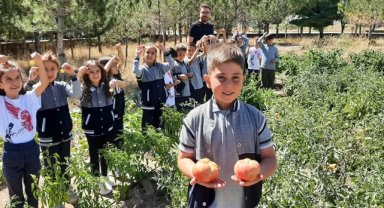 Sarıoğlan'da öğrenciler okulun bahçesinde yetiştirdikleri sebzeleri hasat etti