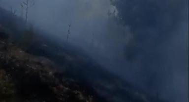 Sarız'da yangın: 1,5 hektarlık alan kül oldu