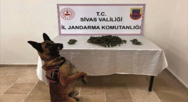 Sivas'ta uyuşturucu operasyonunda 3 şüpheli yakalandı