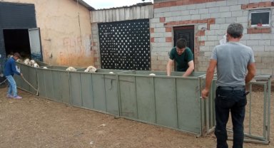 Sorgun'da küçükbaş hayvanlar için hazırlanan "Aşı Yolu Projesi" hayata geçirildi