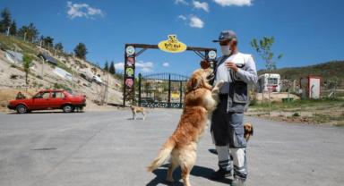 Talas Pati Evi’nde hasta ve bakıma muhtaç patiler tedavi oluyor