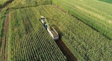 Tarım, ormancılık ve balıkçılık şirketlerinin varlıkları 5 yılda 3,5 katına çıktı