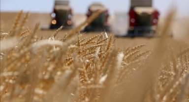 Tarımsal destekleme ödemeleri çiftçilerin hesaplarına bugün aktarılacak