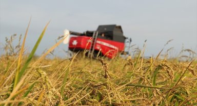 Tarımsal üretimde "sözleşmeli üretim yönetim sistemi" kurulacak