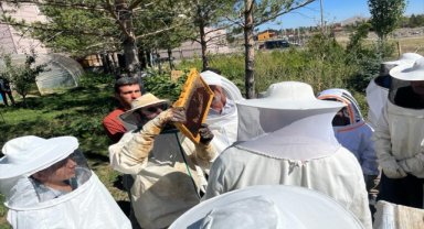 Ulaş'ta arı yetiştiriciliği kursu açıldı