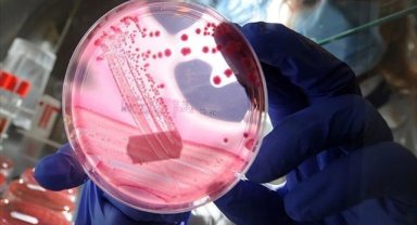 Uluslararası yumurtalık kanseri uygulaması "Olivia" Türkçe de hizmet verecek