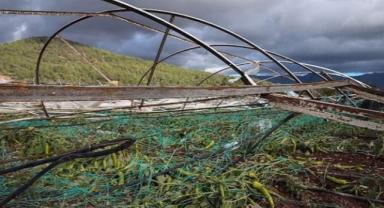 Üreticilere 8 ayda 2,7 milyar liralık hasar tazminatı ödendi