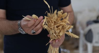 Yerli kılçıksız arpa "Çetiner" ve "Ruha 63" ile verim katlanacak