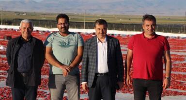 Yeşilhisar’da kurutulan domatesler yurt dışına ihraç ediliyor