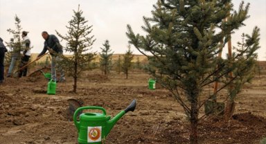 11 Kasım'da 5 milyon 2023 fidan toprakla buluşturulacak