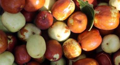 Aç karnına 2-3 tane hünnap yiyin, olanlara bakın...