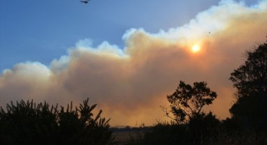 Avustralya'nın Yeni Güney Galler eyaletinde dün 85 yangın çıktı
