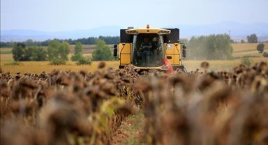 Bakan Yumaklı, 630,7 milyon lira tarımsal destekleme ödemesinin bugün yapılacağını açıkladı