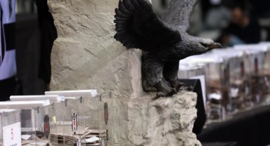 Beşiktaş'ta olağanüstü seçimli genel kurul tarihi belli oldu