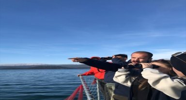 Beyşehir Gölü'ndeki Hacıakif Adası'nda kuş türleri gözlendi