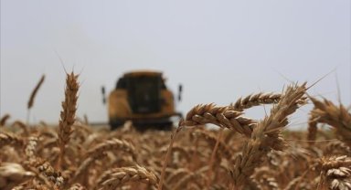 Bitkisel üretimin bu yıl geçen yıla göre artacağı tahmin edildi