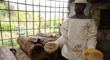 Bitlis'te kara kovan balının hasadına başlandı