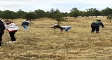 Bünyan'da lise öğrencileri 1000 fidan dikti