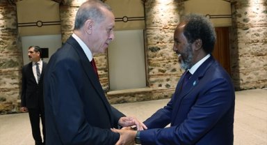 Cumhurbaşkanı Erdoğan Somali Cumhurbaşkanı Mahmud ile görüştü